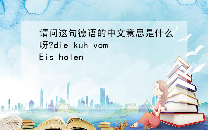 请问这句德语的中文意思是什么呀?die kuh vom Eis holen