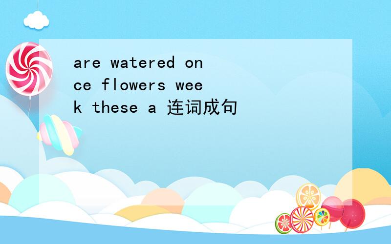 are watered once flowers week these a 连词成句
