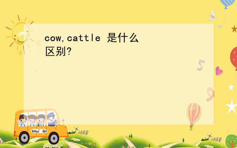 cow,cattle 是什么区别?
