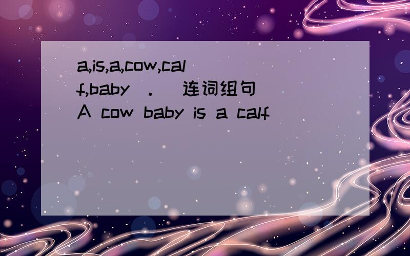 a,is,a,cow,calf,baby(.) 连词组句A cow baby is a calf