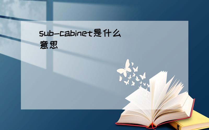 sub-cabinet是什么意思