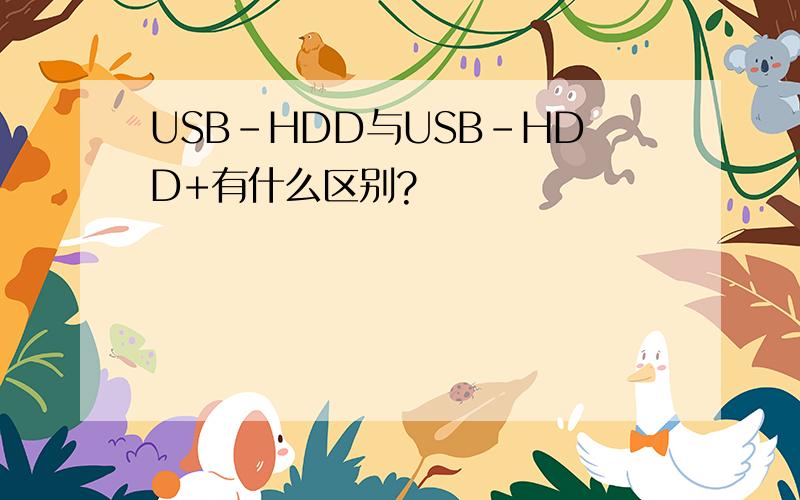 USB-HDD与USB-HDD+有什么区别?