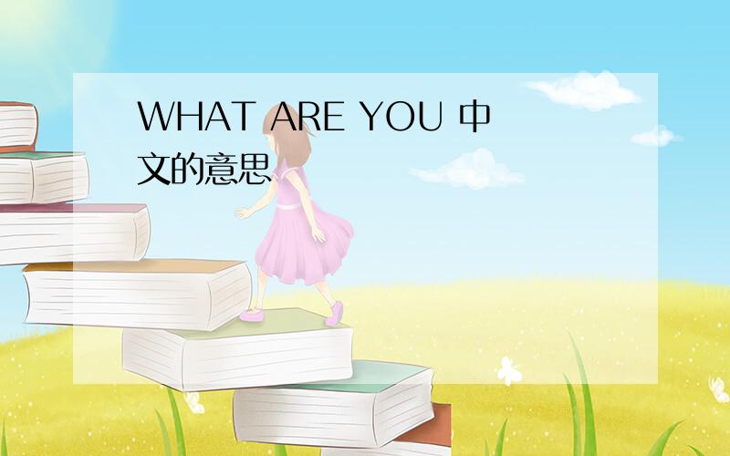 WHAT ARE YOU 中文的意思