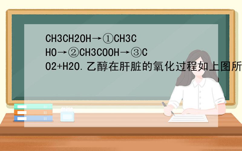 CH3CH2OH→①CH3CHO→②CH3COOH→③CO2+H2O.乙醇在肝脏的氧化过程如上图所示,其中的③是在肝细胞的_________中完成.为什么是线粒体,乙酸到CO2+H2O也在线粒体?