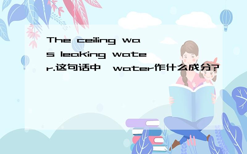 The ceiling was leaking water.这句话中,water作什么成分?