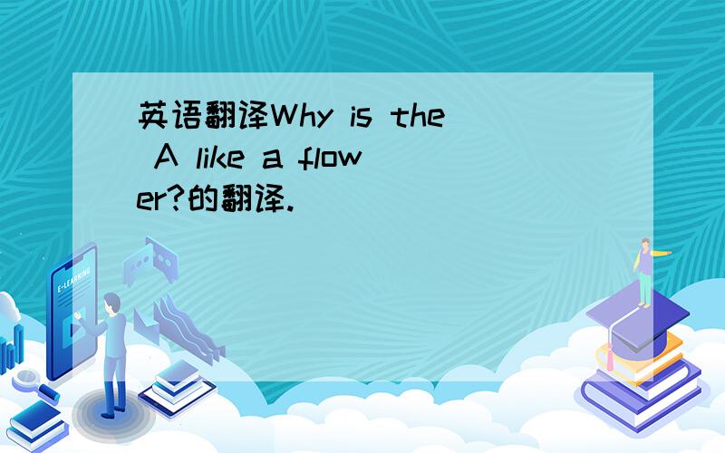 英语翻译Why is the A like a flower?的翻译.