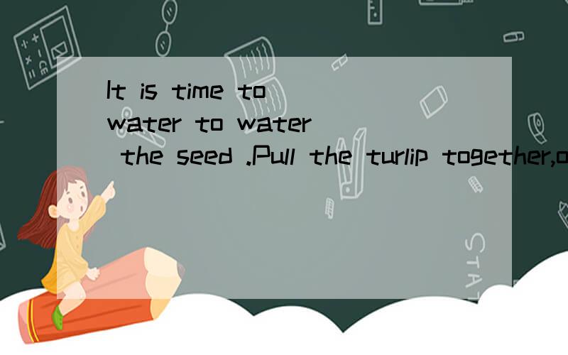 It is time to water to water the seed .Pull the turlip together,ome two thrww.Help us we can not pull it out!求译著