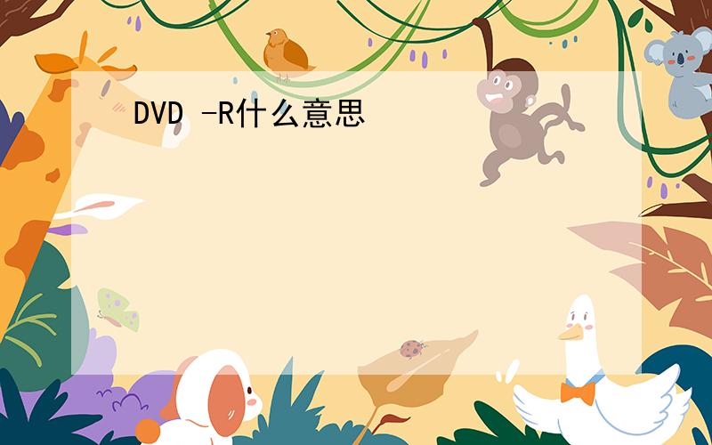 DVD -R什么意思