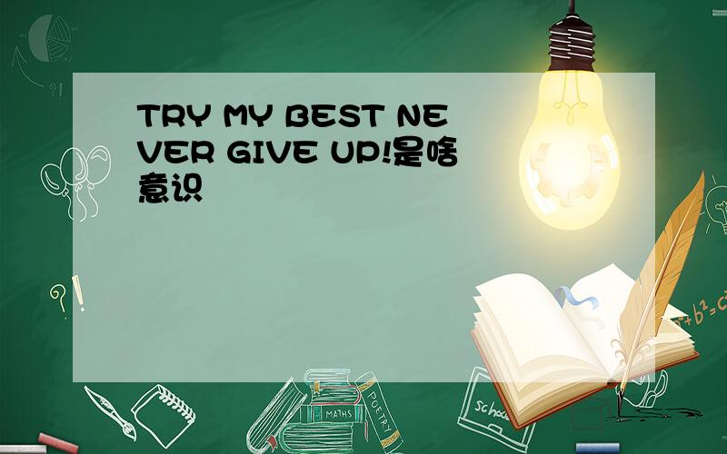 TRY MY BEST NEVER GIVE UP!是啥意识