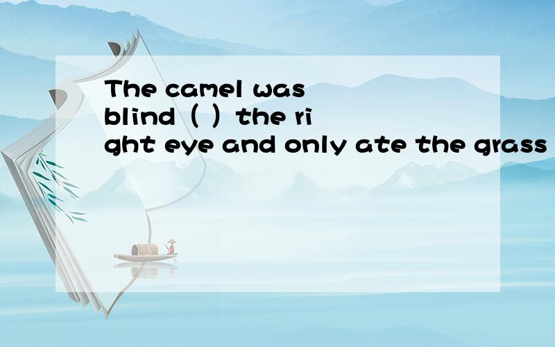 The camel was blind（ ）the right eye and only ate the grass ( ) the left side.a.on,in b.in,on c.in,at d.at,on
