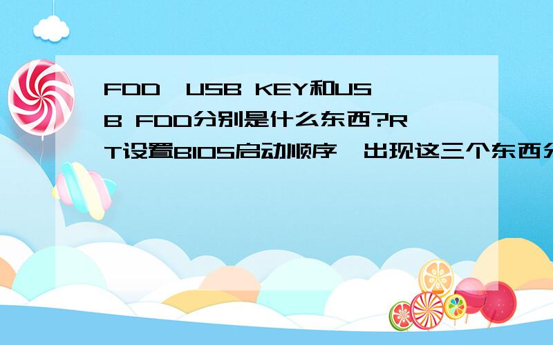 FDD,USB KEY和USB FDD分别是什么东西?RT设置BIOS启动顺序,出现这三个东西分别代表什么
